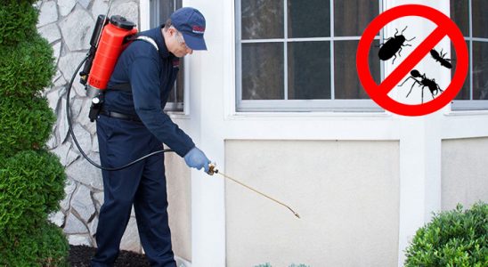 Sarıveliler Böcek İlaçlama böcek ilaçlama ve haşere kontrolü — ilaclama-tr.com